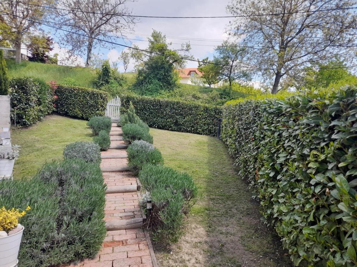 Bella House Villa Загреб Екстериор снимка